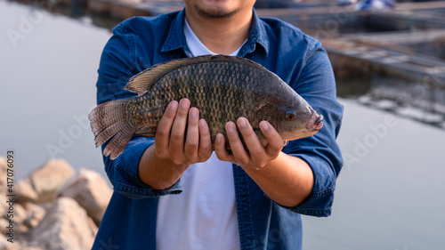 Close up fisherman holding big tilapia fish, freshwater fish that was raised in ponds and cages. photo