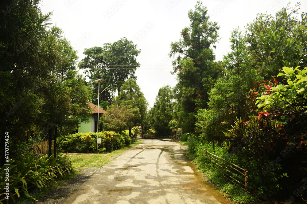 Empty winding gravel footpath through green forest in village of deciduous trees illuminated by sunbeams in mist. Beautiful summer landscape of clean country road surrounded by plant under cloudy sky. Empty winding gravel footpath through green forest in village of deciduous trees illuminated by sunbeams in mist. Beautiful summer landscape of clean country road surrounded by plant under cloudy sky.