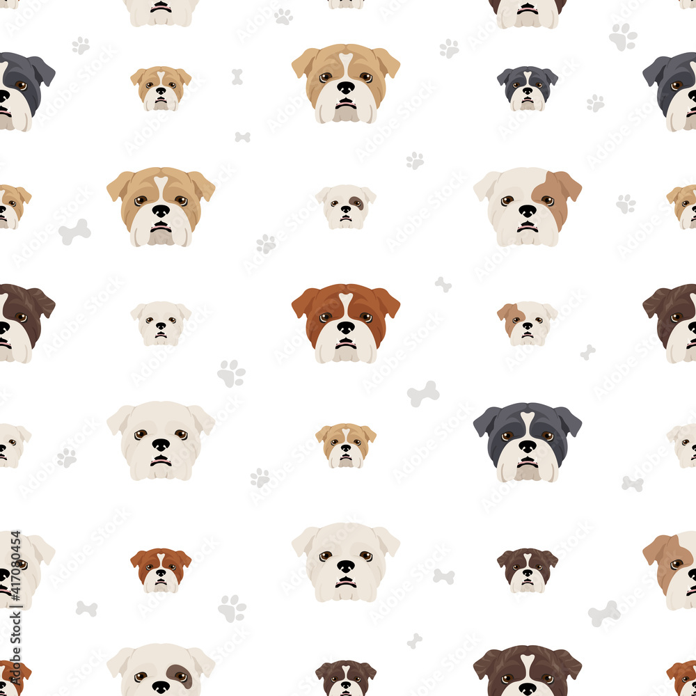 English bulldog seamless pattern. Different poses, coat colors set
