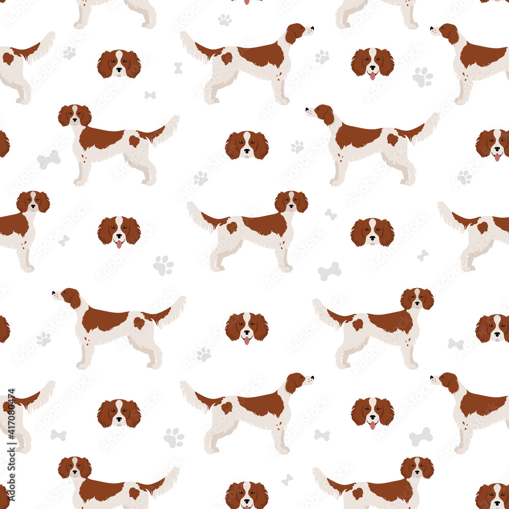 Irish red and white setter seamless pattern. Different poses, coat colors set