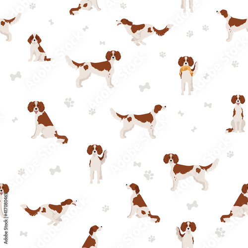 Irish red and white setter seamless pattern. Different poses, coat colors set