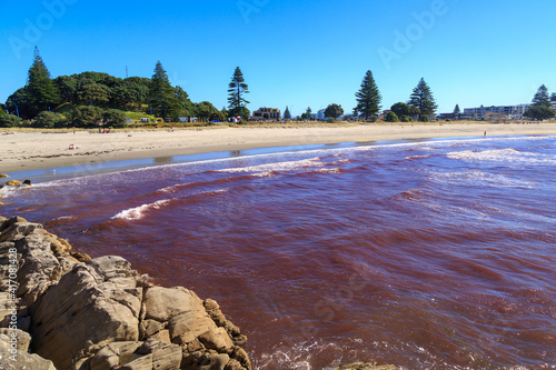 Canvas Print A red tide washing ashore at Mount Maunganui, New Zealand