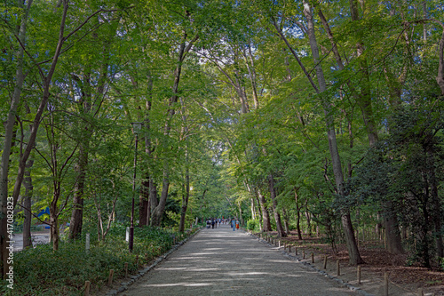 京都 糺の森の夏景色