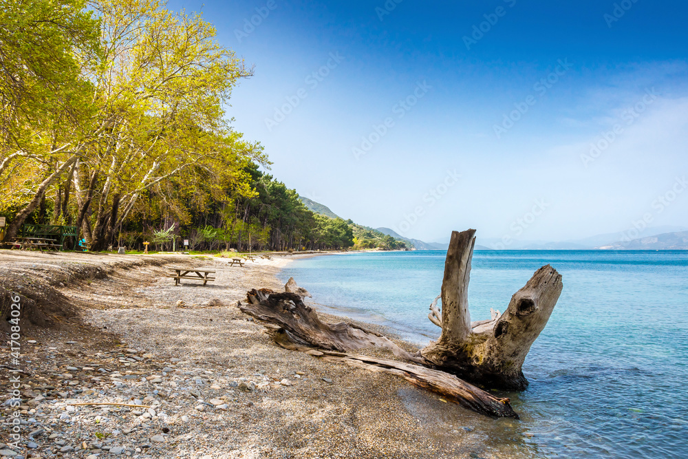 Dilek Peninsula National Park in Kusadasi Town of Turkey. Dilek Peninsula National Park in Kusadasi Town of Turkey.