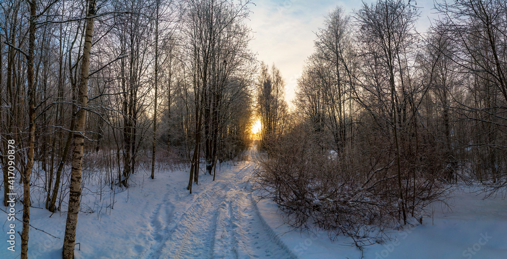 Sunset in a winter forest with a distant road. Sunset in a winter forest with a distant road.