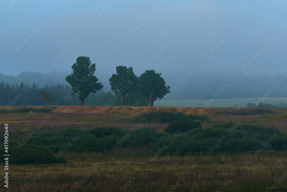 Auf dem Erzgebirgskamm bei Adolfsgrün im Grenzgebiet Auf dem Erzgebirgskamm bei Adolfsgrün im Grenzgebiet