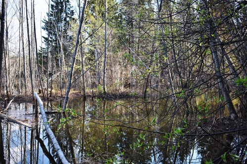 lake