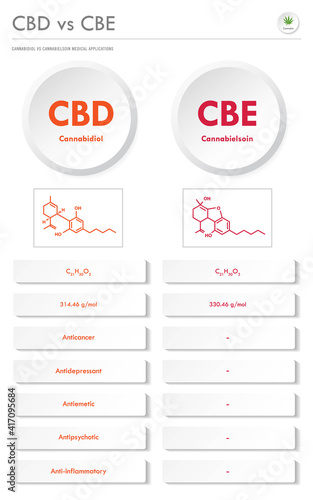 CBD vs CBE, Cannabidiol vs Cannabielsoin vertical business infographic illustration about cannabis as herbal alternative medicine and chemical therapy, healthcare and medical vector.