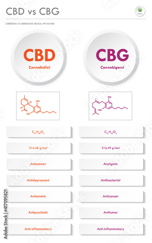 CBD vs CBG, Cannabidiol vs Cannabigerol vertical business infographic illustration about cannabis as herbal alternative medicine and chemical therapy, healthcare and medical vector.