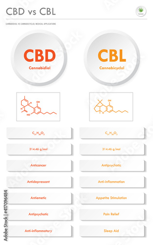 CBD vs CBL, Cannabidiol vs Cannabicyclol vertical business infographic illustration about cannabis as herbal alternative medicine and chemical therapy, healthcare and medical vector.