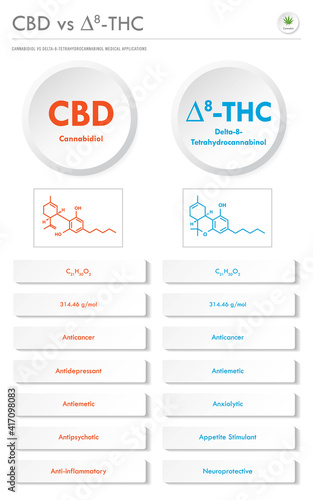CBD vs ∆8-THC, Cannabidiol vs Delta 8 Tetrahydrocannabinol vertical business infographic illustration about cannabis as herbal alternative medicine and chemical therapy, healthcare and medical vector.