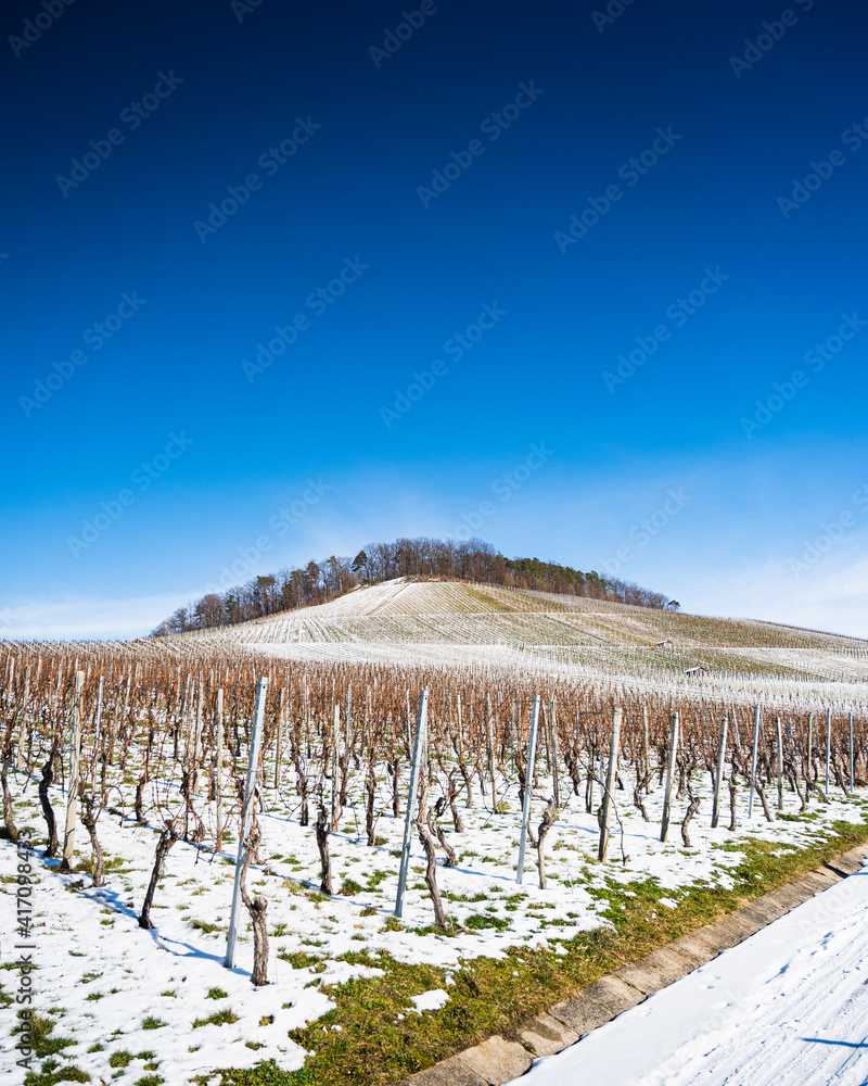 A beautiful shot of a snowy vineyard with a forest on a hill and a blue cloudy sky in the background. A beautiful shot of a snowy vineyard with a forest on a hill and a blue cloudy sky in the background.
