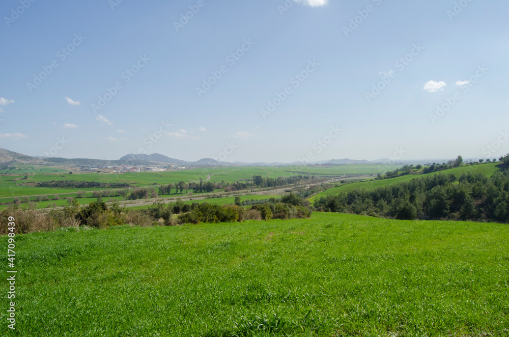Fototapeta premium Green field landscape