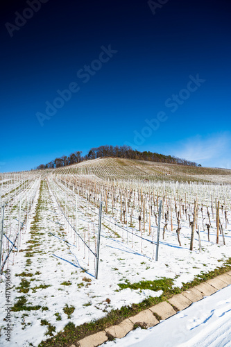 A beautiful shot of a snowy vineyard with a forest on a hill and a blue cloudy sky in the background.