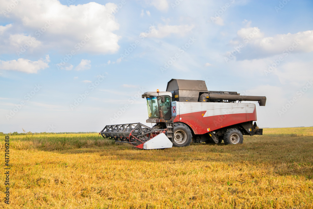 old combine harvester harvests from the field old combine harvester harvests from the field