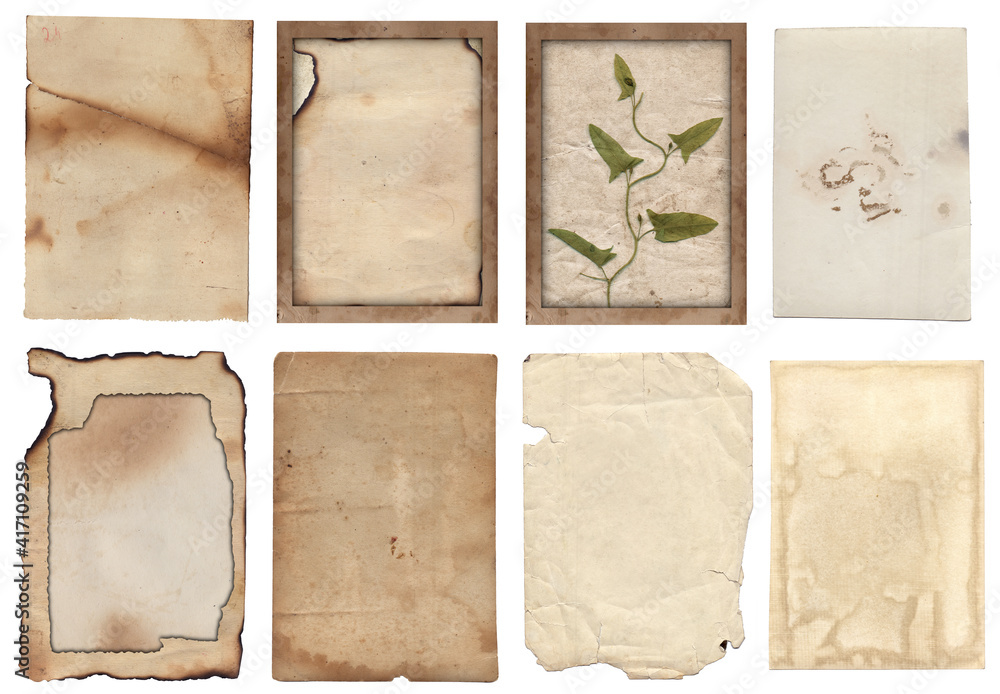 Set of Old various vintage rough paper with scratches, stains and dry plants texture isolated