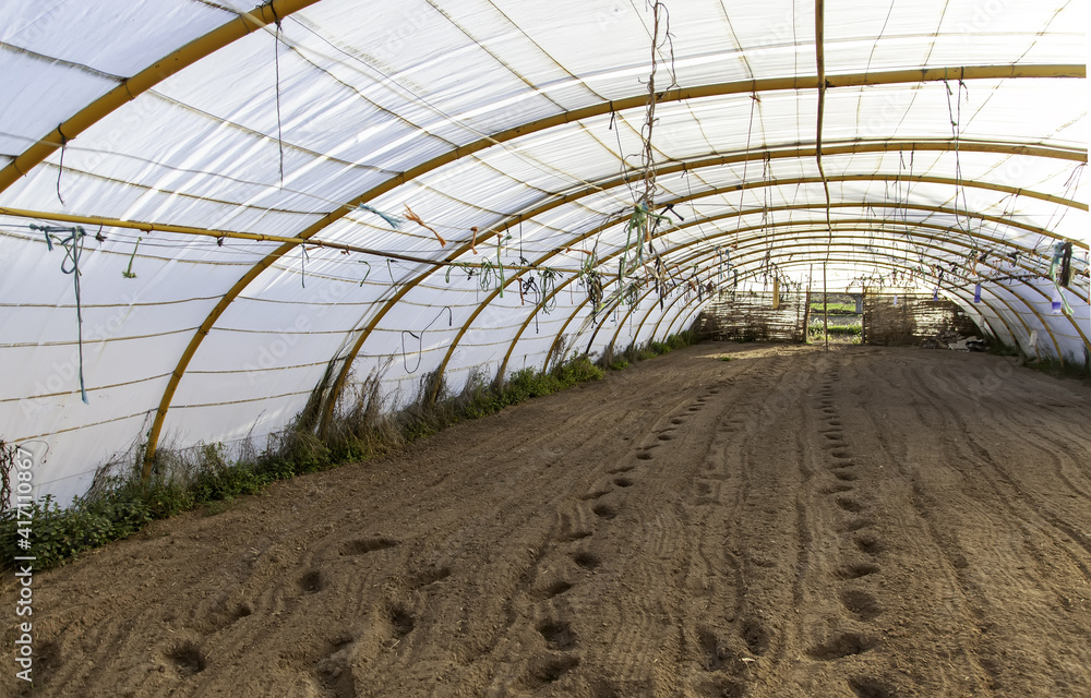 Naklejka premium Indoor Abandoned Greenhouse