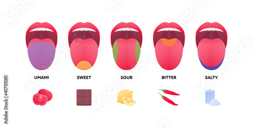 Taste scheme concept. Vector flat modern color illustration. Tongue with lips. Mouth tasty sense symbol. Umami tomato, sweet chocolate, sour lemon, bitter pepper, salty zone symbol.