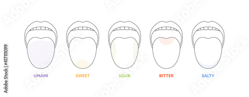 Taste scheme concept. Vector flat modern color illustration. Tongue with lips. Mouth tasty sense symbol. Umami, sweet, sour, bitter, salty outline icon set.