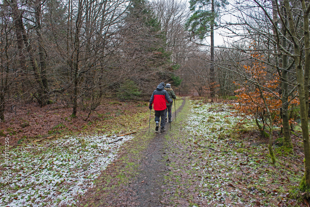 Couple walking on footpath through rural countryside woodland Couple walking on footpath through rural countryside woodland