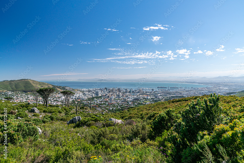 Sicht auf Kapstadt im Vordergrund Büsche und Pflanzen  im Hintergrund Meer und Himmel