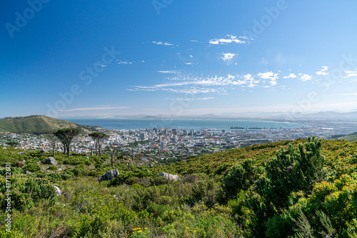 Sicht auf Kapstadt im Vordergrund Büsche und Pflanzen im Hintergrund Meer und Himmel