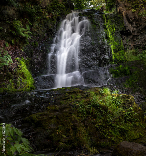 waterfall in the forest