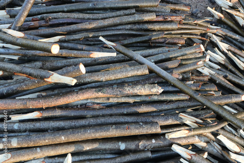 Φωτογραφία Lot pointed branches. Many wood stakes filling background.