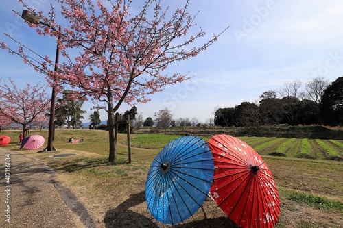 奈良県　馬見丘陵公園の花回廊