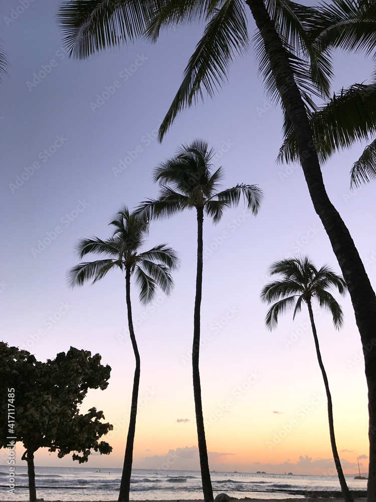 Palms at sunset in the beach of Hawaii