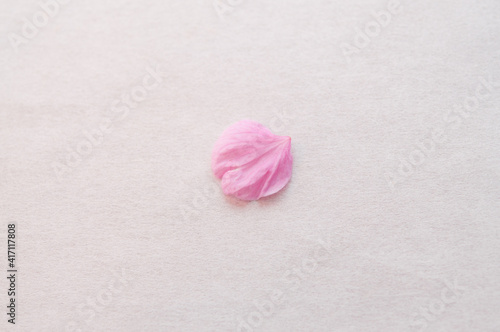 1枚の桜の花びら 背景に白い和紙 コピースペース 河津桜  春 日本