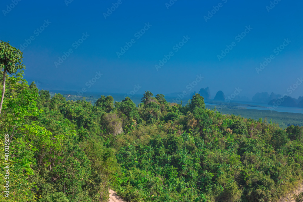 Obraz premium Wallpaper blurred nature of the twilight light in the evening by the large water basin surrounded by big trees, the integrity of the forest