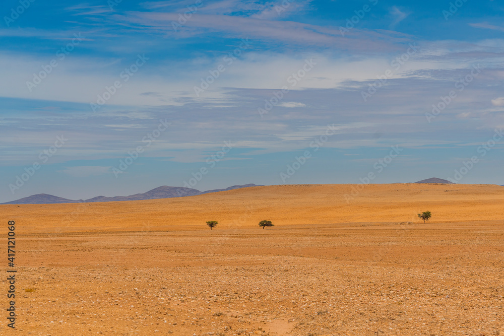 Obraz premium Landscape with 2 trees of Namib-Naukluft National Park is a national park of Namibia