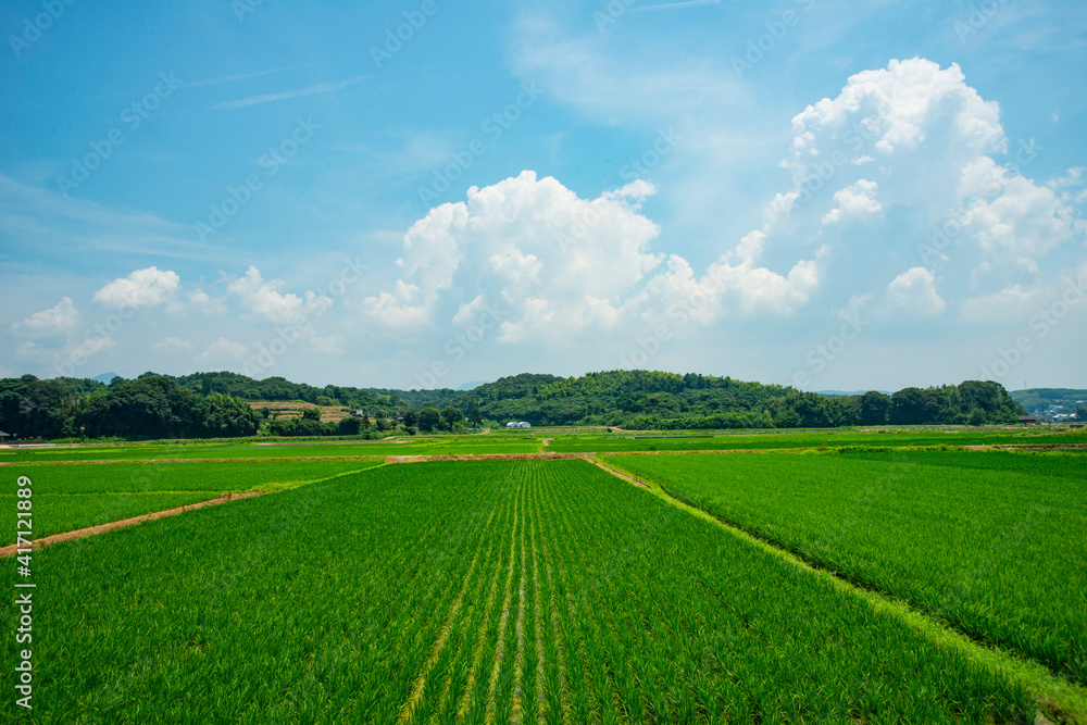 広がる田園風景と青い空