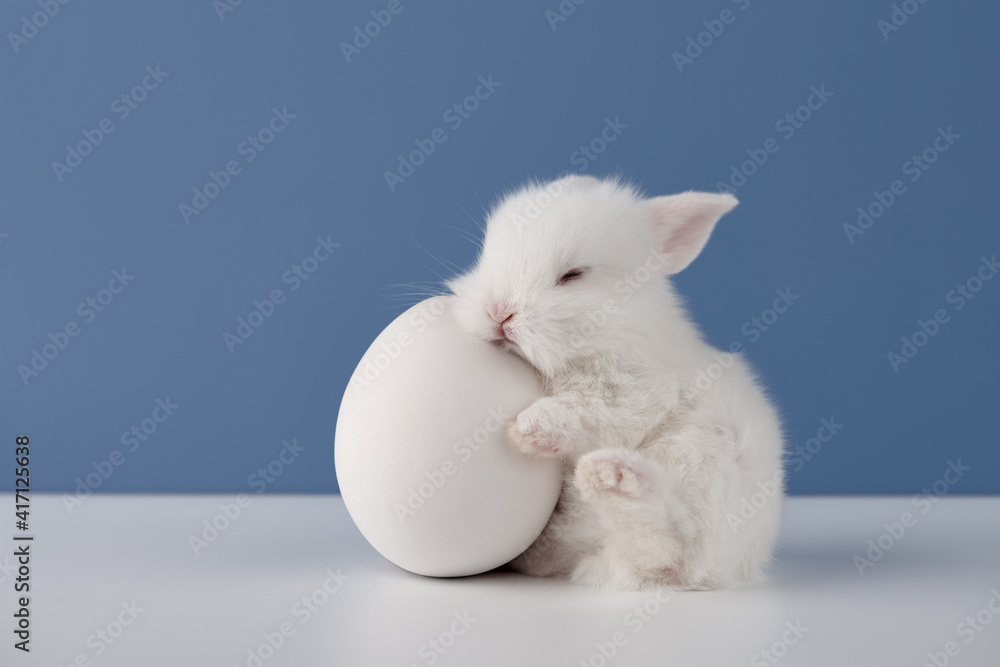 White baby rabbit sleeping on big Easter egg on blue background White baby rabbit sleeping on big Easter egg on blue background