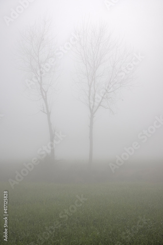 agricultural fields surrounded by dense fog in rural India in winters