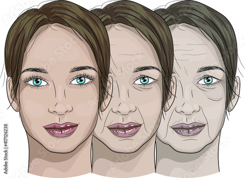 Illustration of a woman's face in the aging process From young to old.Aging face, wrinkles, loss of skin firmness