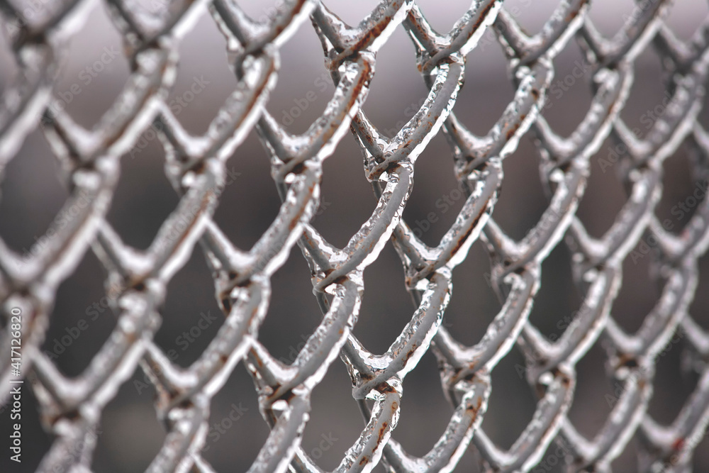 Fototapeta premium fence after severe frost. ice on the fence