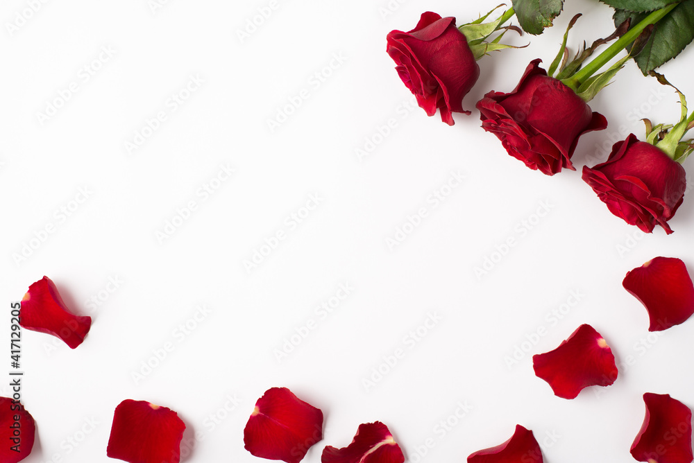 Photo overhead of roses and petals isolated on the white background Photo overhead of roses and petals isolated on the white background