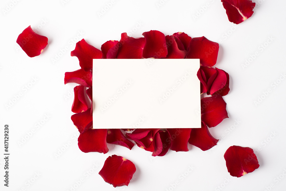 Photo overhead of roses empty blank space paper and petals isolated on the white background Photo overhead of roses empty blank space paper and petals isolated on the white background