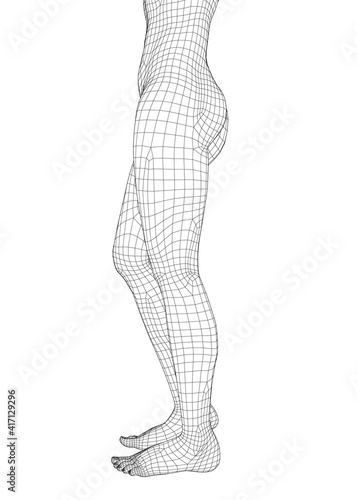 Wireframe of the girl is waist-deep. The slender figure of the girl. Side view. 3D. Vector illustration