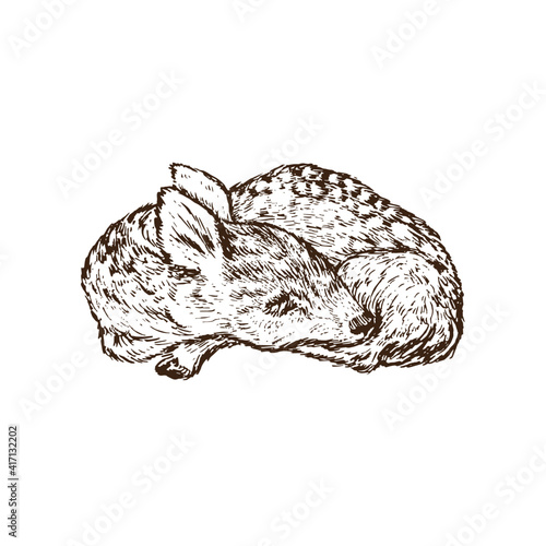 Small cute baby deer slipping, doodle black ink drawing, woodcut style