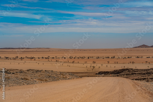 Landscape with road at Namib-Naukluft National Park , s a national park of Namibia