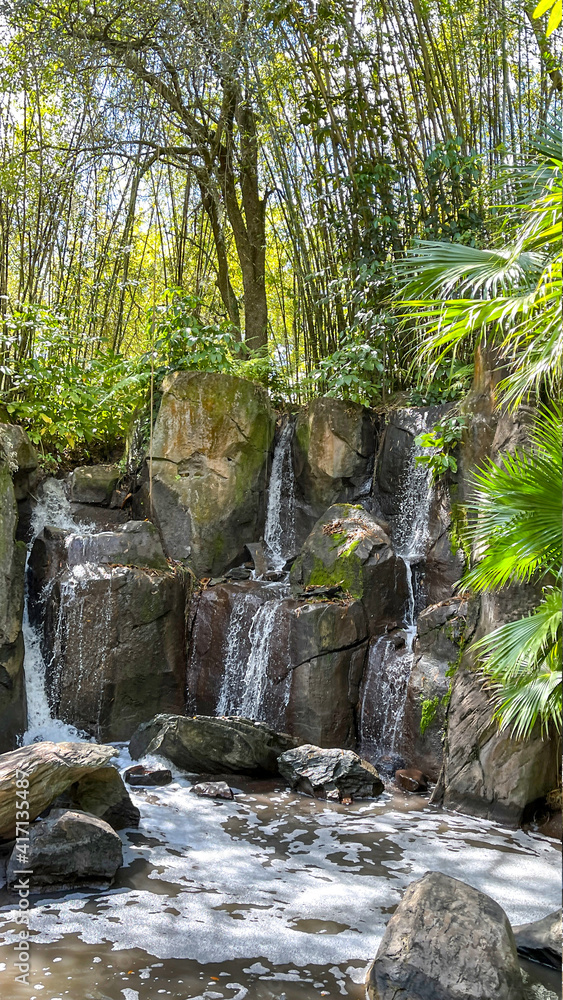 Naklejka premium waterfall in the woods