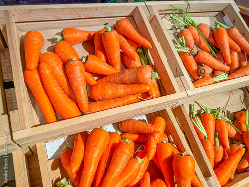 Carrots lined up on the shelves