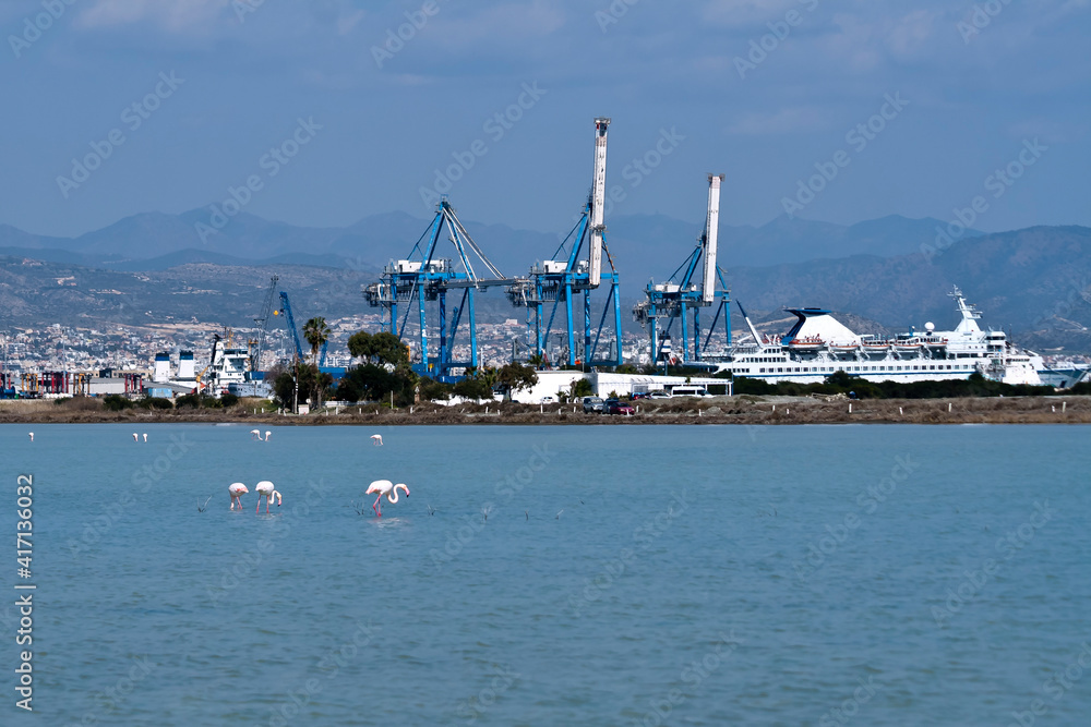 Akrotiri Salt Lake with flamingos near Limassol New Port, Cyprus 