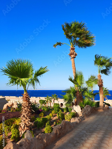 Promenade with palm trees and green plants by the blue sea