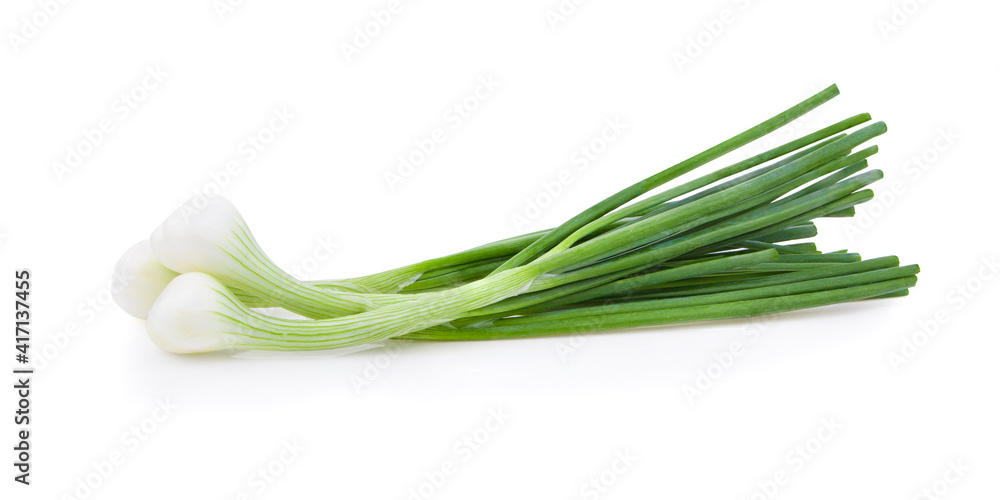 Green onion on the white background Green onion on the white background