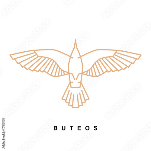 buteo bird icon logo. ancient Egypt illustration of falcon hawk collection. symbol of the power and eternal life. modern and minimalist style in monoline vector drawing.