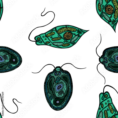 Seamless pattern of various drawn protozoa microorganismus
